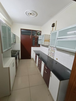10 Marla Old liveable House for sale in sector 11 Panchkula