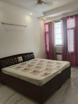 14 Marla 3BHK Old Liveable House for Sale in Sector 9 Panchkula