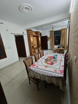 14 Marla Old Liveable House for Sale in Sector 7 Panchkula