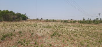 10.5 Acre Agricultural/Farm Land for Sale in Humnabad, Bidar