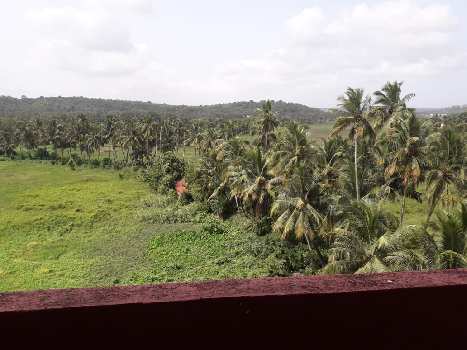 Property for sale in North Goa