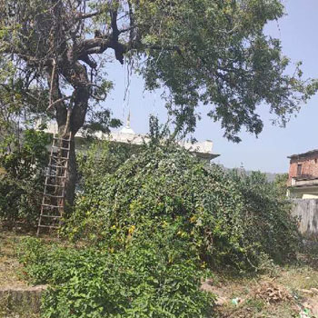 Property for sale in Neelkanth Road, Rishikesh