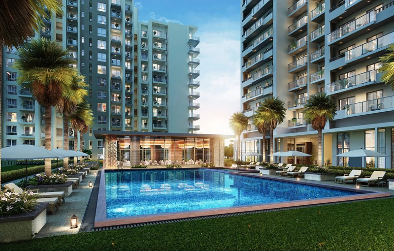 3 BHK Flats & Apartments for Sale in Sector 113, Gurgaon (3700 Sq.ft.)