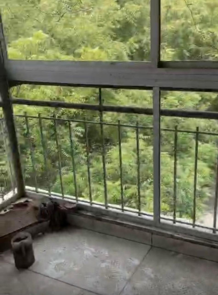 Flats & Apartments for Rent in Dwarka, Delhi (1000 Sq.ft.)