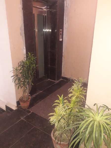 300 Sq. Yards Hotel & Restaurant for Rent in Sector 62, Noida