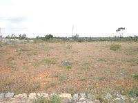 600 Sq. Yards Commercial Lands /Inst. Land for Sale in Bilaspur, Gurgaon