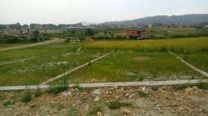 200 Sq. Yards Residential Plot for Sale in DLF Phase I, Gurgaon