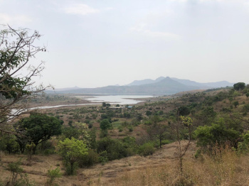Pavana Dam views 15 guntha  farmland for sale