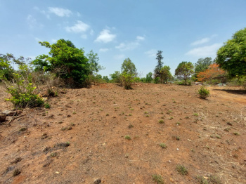30 gunte karla R zone plot for sale. 7 lakh gunta, back side of tejas dhaba.