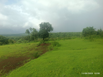 6.5 Acer agriculture land for sale pali sudhagad