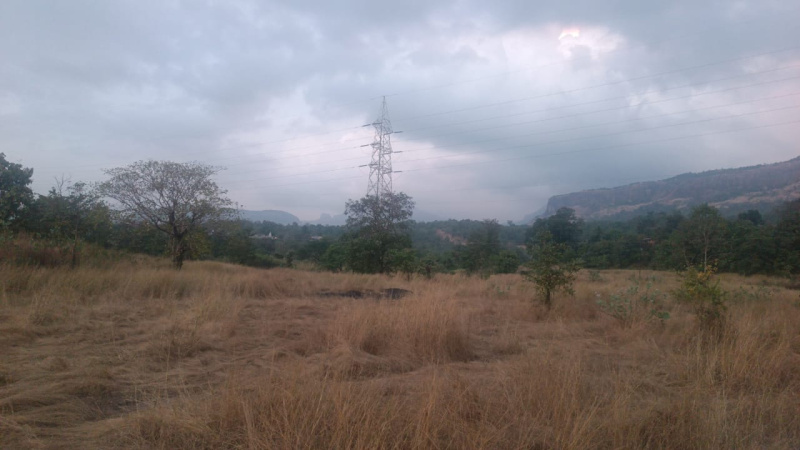 16 Acer agriculture land for sale in koshimble 20 km from pali temple