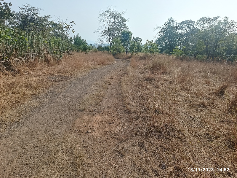 4 Acer agriculture land for sale in roha 14 km from pali temple