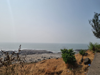 Beach view 100 Acer agriculture land for sale in harihareshwar