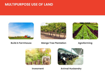 28 Sq.ft. Agricultural/Farm Land for Sale in Mangaon, Raigad
