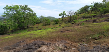 Property for sale in Shrivardhan, Raigad