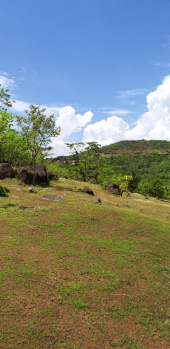 Property for sale in Shrivardhan, Raigad