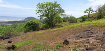 Property for sale in Shrivardhan, Raigad