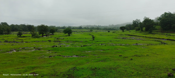 400 Acer Raigad fort view clear title agriculture land