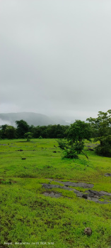 Property for sale in Mahad, Raigad