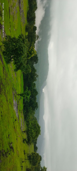 Property for sale in Mahad, Raigad