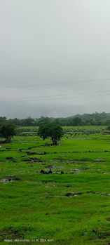 Property for sale in Mahad, Raigad