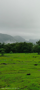 Property for sale in Mahad, Raigad