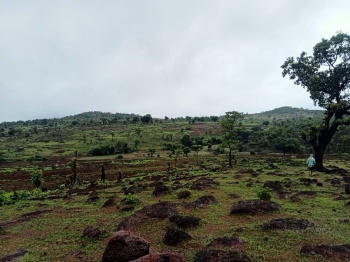 Property for sale in Pali, Raigad