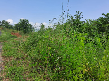 Property for sale in Poladpur, Raigad