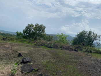 23 Acer clear title agriculture land for sale in khopoli