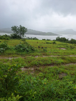 CLEAR title pavana dam view 13 Acer agriculture land for sale in javan