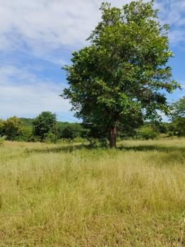 Property for sale in Harihareshwar, Raigad