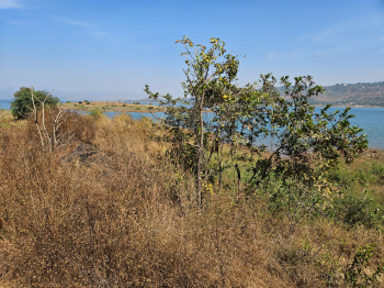 Property for sale in Pavana Lake, Pune