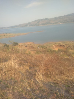 Property for sale in Pavana Lake, Pune