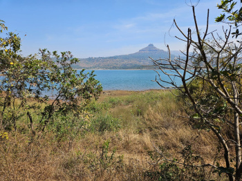 Property for sale in Pavana Lake, Pune