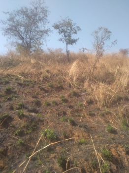 Property for sale in Pavana Lake, Pune