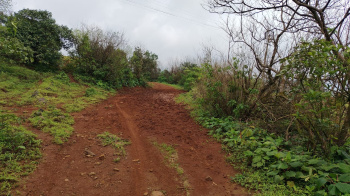 60 Acer clear title agriculture land for sale in bhor moharigoav 71km from Pune airport