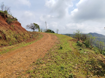 450 Acer clear title agriculture for sale only 71 km from Pune airport
