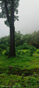Property for sale in Mahad, Raigad