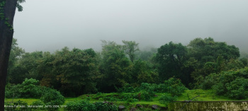 80 Acer clear title agriculture land for sale in punade pachad road Raigad