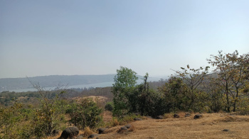 Sea view agriculture land for sale in DANDA near harihareshwar beach