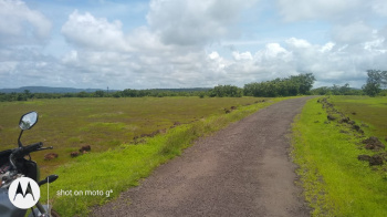 1200 Acer Farm land for sale in Chiplun kere village