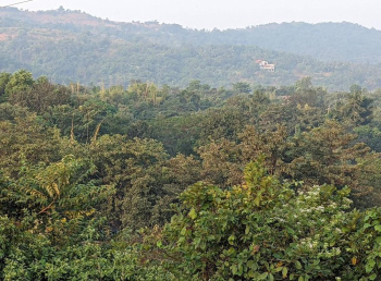 Property for sale in Sudhagad, Raigad
