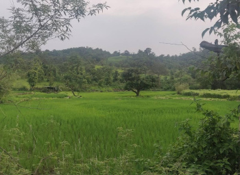 Property for sale in Sudhagad, Raigad