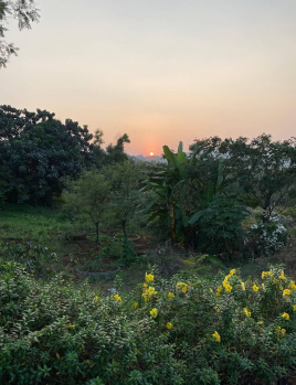 Property for sale in Sudhagad, Raigad