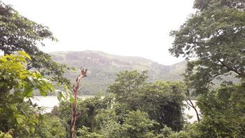 1500 Acer dam touch land for sale in Chiplun ratnagiri village kolkewadi