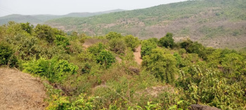 Property for sale in Chiplun, Ratnagiri