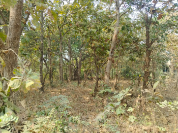6 Acer clear title R ZONE LAND FOR SALE IN Dhokwade alibag