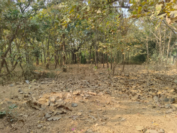 Property for sale in Alibag, Raigad