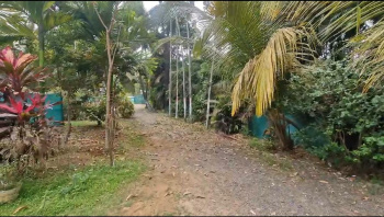 Property for sale in Alibag, Raigad