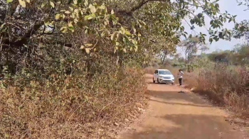 Property for sale in Alibag, Raigad